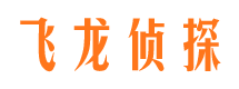 友谊市侦探调查公司